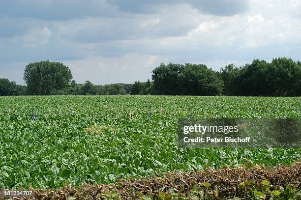Heiligenfelde Photos and Premium High Res Pictures Getty Images