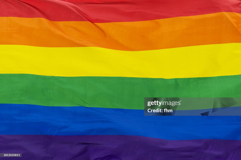 LGBTQ+ Pride Flag