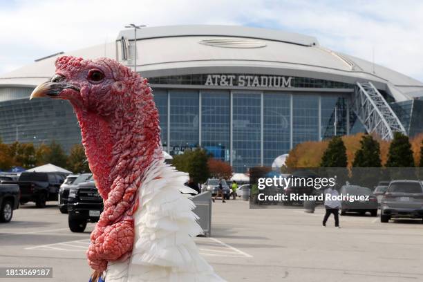 Turkey is seen outside AT&T Stadium before the Thanksgiving game between the Washington Commanders and the Dallas Cowboys on November 23, 2023 in...