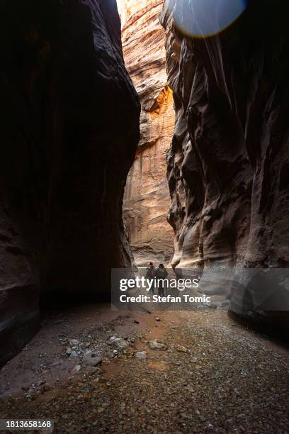 female walking the virgin river in the narrows at zion national park utah - river virgin stock pictures, royalty-free photos & images