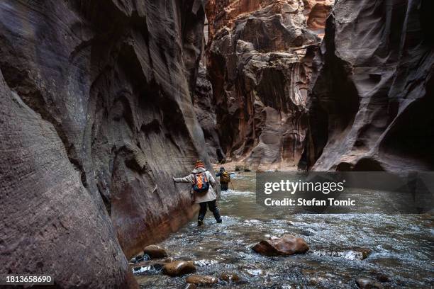 female walking the virgin river in the narrows at zion national park utah - river virgin stock pictures, royalty-free photos & images