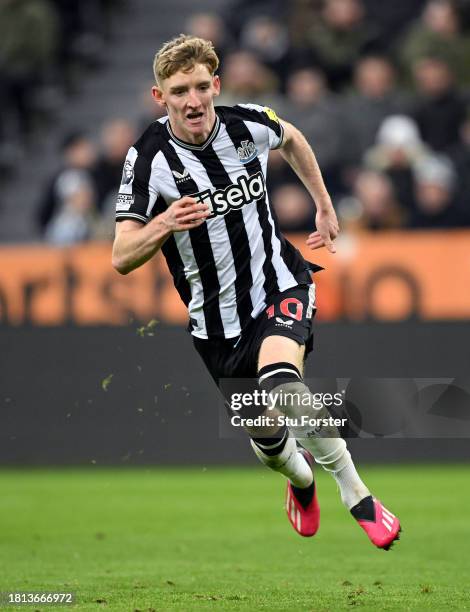 Anthony Gordon of Newcastle United in action during the Premier League match between Newcastle United and Chelsea FC at St. James Park on November...