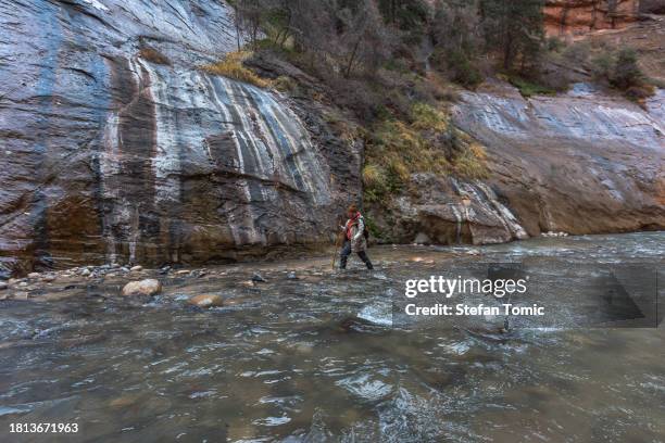 female walking the virgin river in the narrows at zion national park utah - river virgin stock pictures, royalty-free photos & images