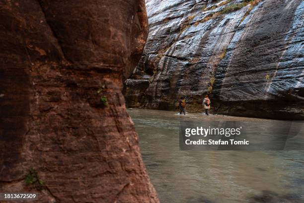 female walking the virgin river in the narrows at zion national park utah - river virgin stock pictures, royalty-free photos & images