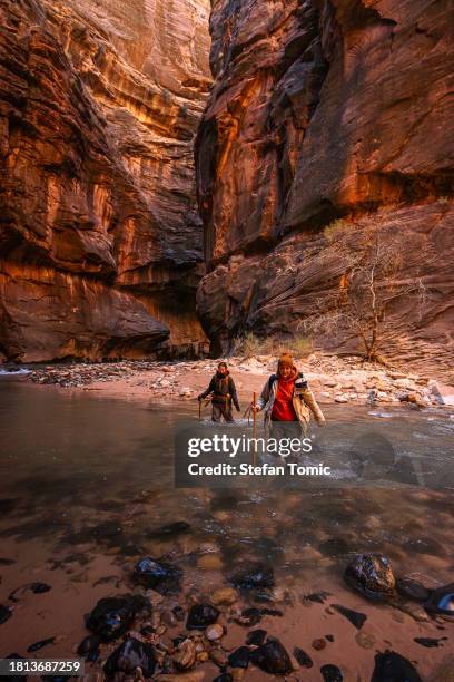 female walking the virgin river in the narrows at zion national park utah - virgin river stockfoto's en -beelden