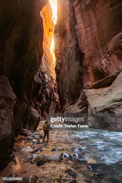 mujer caminando por el río virgin en el parque nacional narrows at zion, utah - parque nacional zion fotografías e imágenes de stock