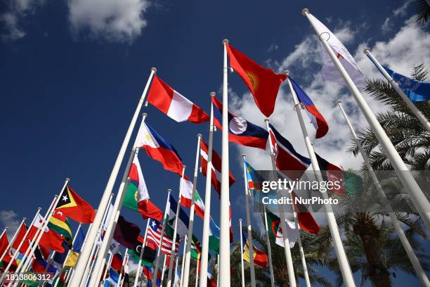 Flags at the Expo City on the opening day of the United Nations Climate Change Conference COP28 in Dubai, United Arab Emirates on November 30, 2023.