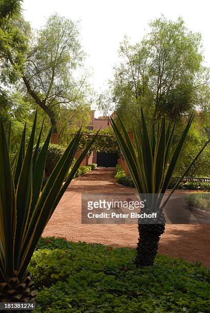 Garten der Villa von Henriette von Bohlen und Halbach , Homestory, Villa "Bled Targui", Marrakesch, Marokko, Nordafrika, Afrika, Residenz, Palast,...