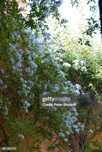 Garten der Villa von Henriette von Bohlen und Halbach , Homestory, Villa "Bled Targui", Marrakesch, Marokko, Nordafrika, Afrika, Residenz, Palast,...