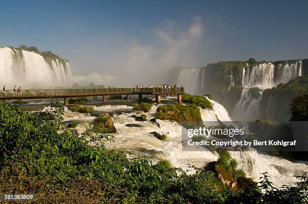 foz do iguassu, brazil - iguacu stock pictures, royalty-free photos & images