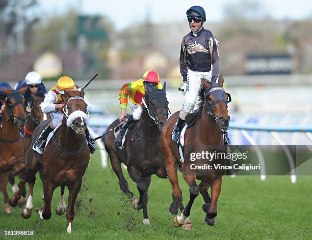 Glen Boss riding Mr O'ceirin celebrates winning the D'urban Naturalism Stakes during Melbourne Racing at Caulfield Racecourse on September 21, 2013...