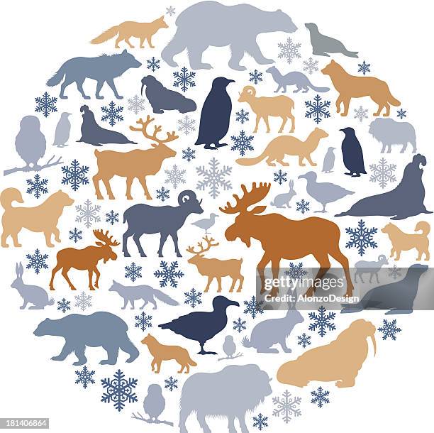 arctic tiere symbol-collage - image montage cartoon stock-grafiken, -clipart, -cartoons und -symbole
