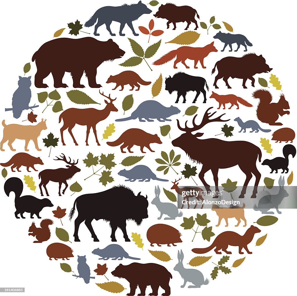Wild Animals Icon Collage High-Res Vector Graphic - Getty Images