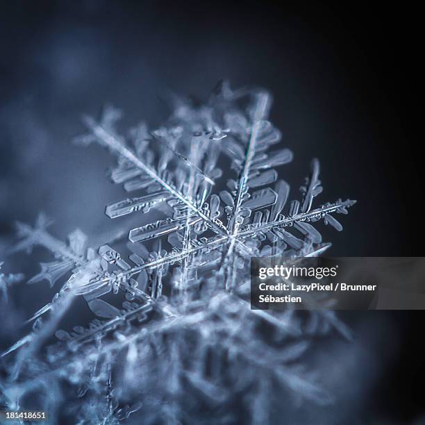 11,681 Snowflake Close Up Stock Photos, High-Res Pictures, and Images ...