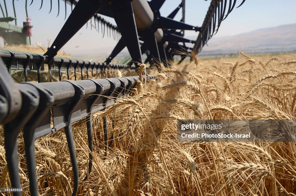 Combine harvester