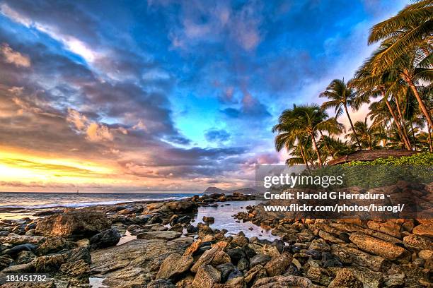 secret beach - oahu imagens e fotografias de stock