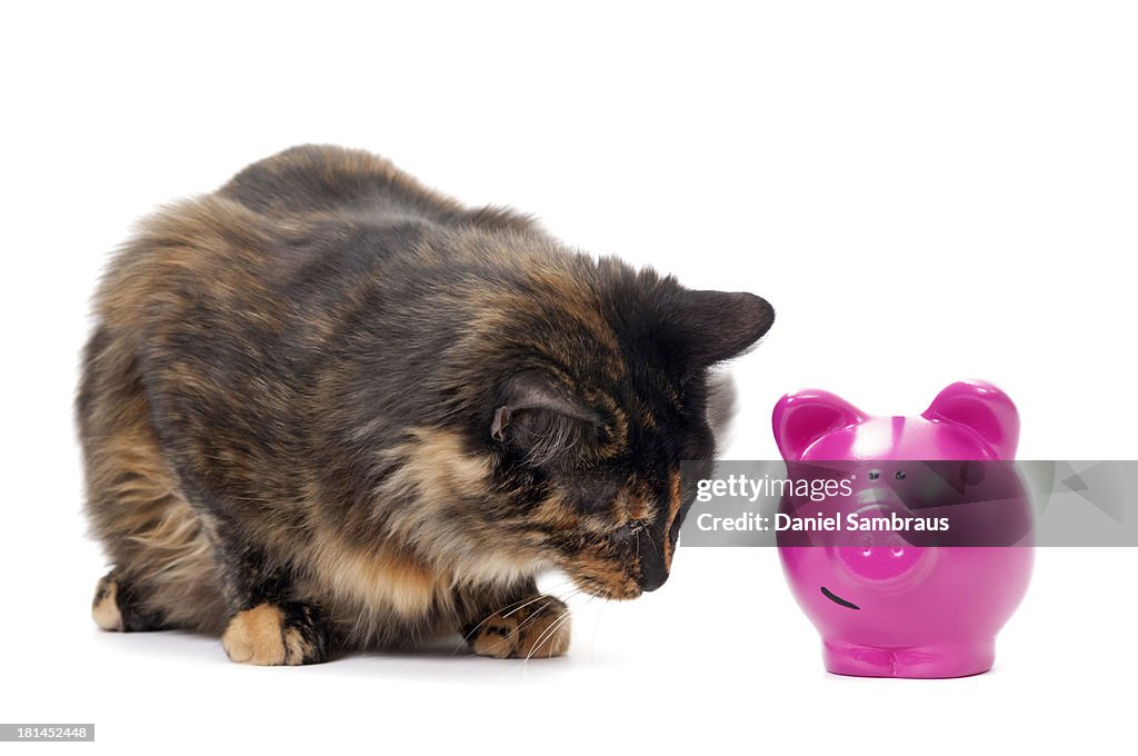 Piggy bank