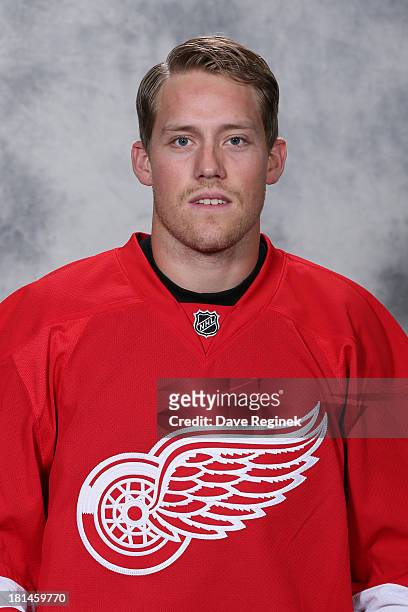 Joakim Andersson of the Detroit Red Wings poses for his official headshot for the 2013-2014 season at Centre Ice Arena on September 11, 2013 in...