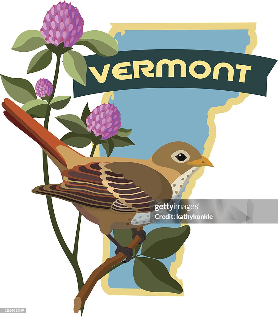 Vermont state bird and flower