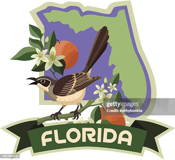illustrations, cliparts, dessins animés et icônes de fleurs et oiseaux d'état de floride - state flower of florida