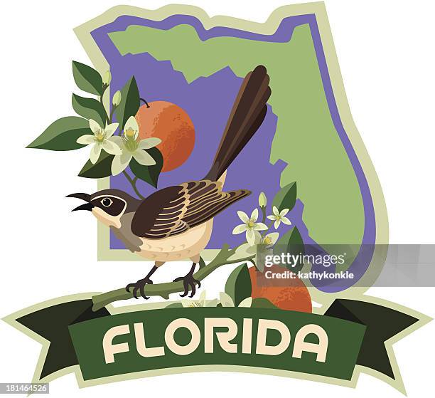 florida state bird and flower - mockingbird 幅插畫檔、美工圖案、卡通及圖標