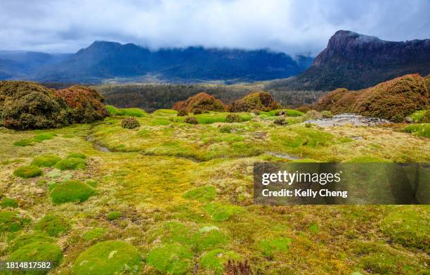 view on cradle mountain overland track - cradle mountain stock pictures, royalty-free photos & images