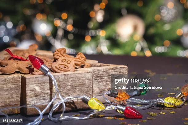 christmas gingerbread cookies closeup and defocused lights - biscuit tin stock pictures, royalty-free photos & images