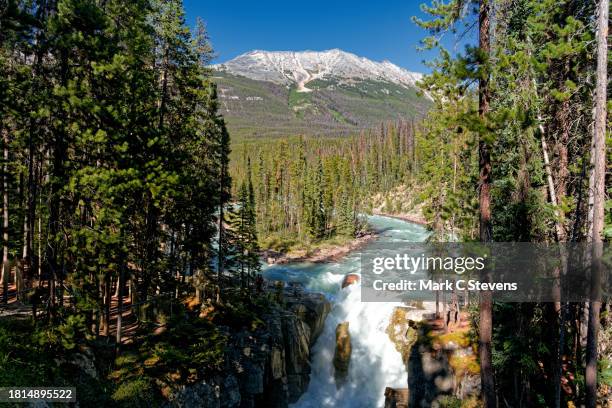 sunwapta falls and a backdrop of the canadian rockies - jasper national park stock pictures, royalty-free photos & images