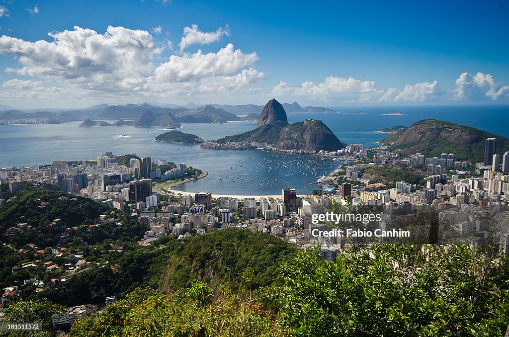 Rio de Janeiro - RJ