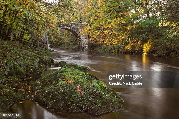 Devon Bridge Holne Bridge Photos and Premium High Res Pictures - Getty Images