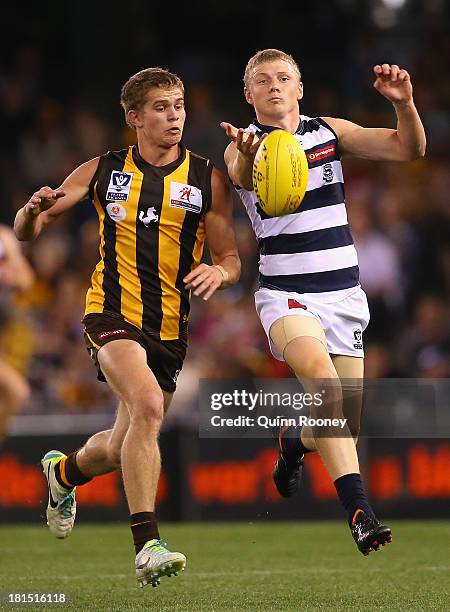 Jed Anderson of the Hawks and Taylor Hunt of the Cats contest for the ball during the VFL Grand Final match between the Box Hill Hawks and the...