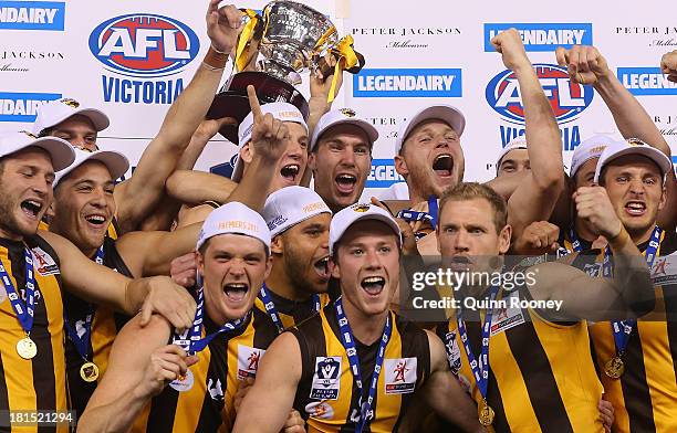 The Box Hill Hawks celebrate with the Premiership Cup after winning the VFL Grand Final match between the Box Hill Hawks and the Geelong Cats at...