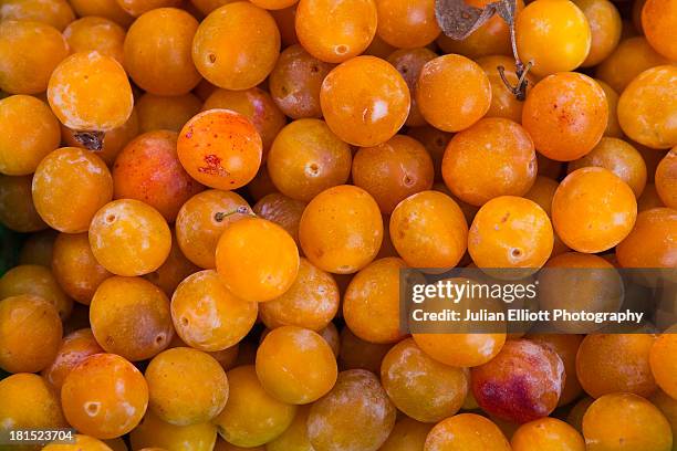 mirabelle plums on sale at a market - mirabellen stockfoto's en -beelden