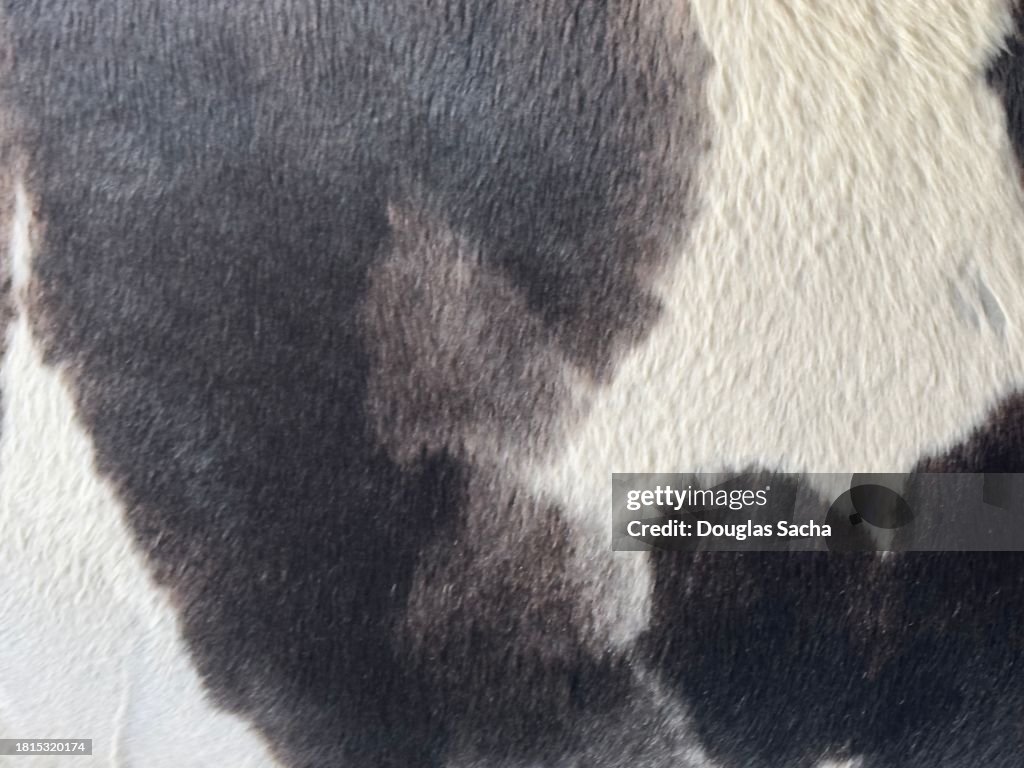 Fake fur/hide textile surface