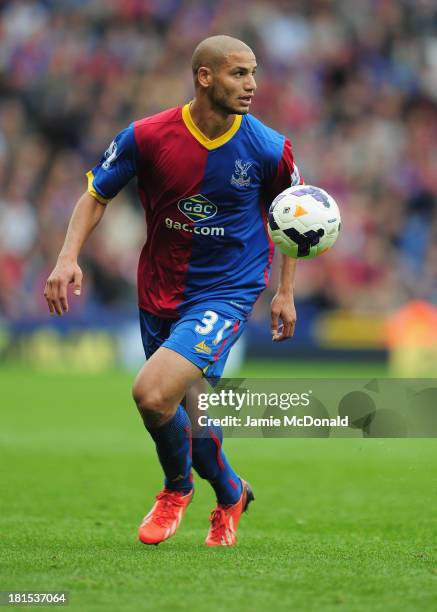 Adlene Guedioura of Crystal Palace in action during the Barclays Premier League match between Crystal Palace and Swansea City at Selhurst Park on...
