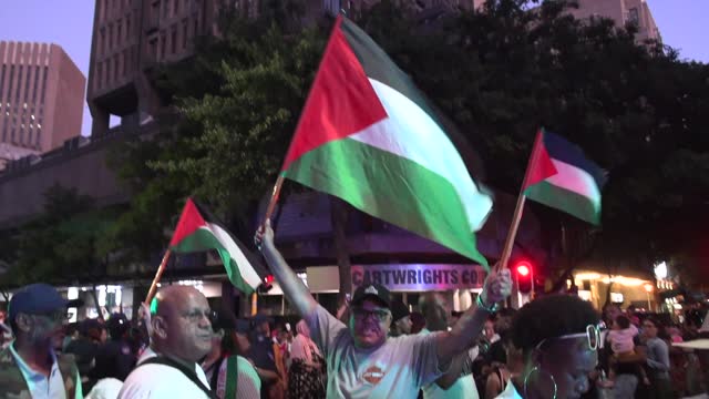 ZAF: Cape Town Festive Lights Switch On Disrupted By Palestine Protests