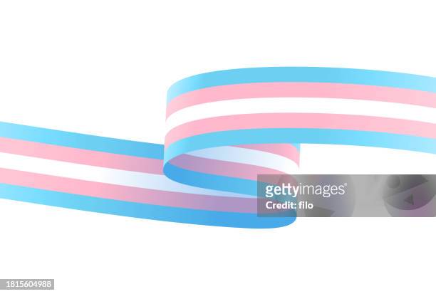 transgender pride flag line design element - international transgender day of visibility stock illustrations