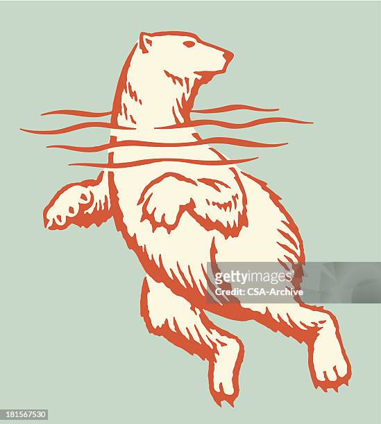swimming polar bear - polar bear stock illustrations