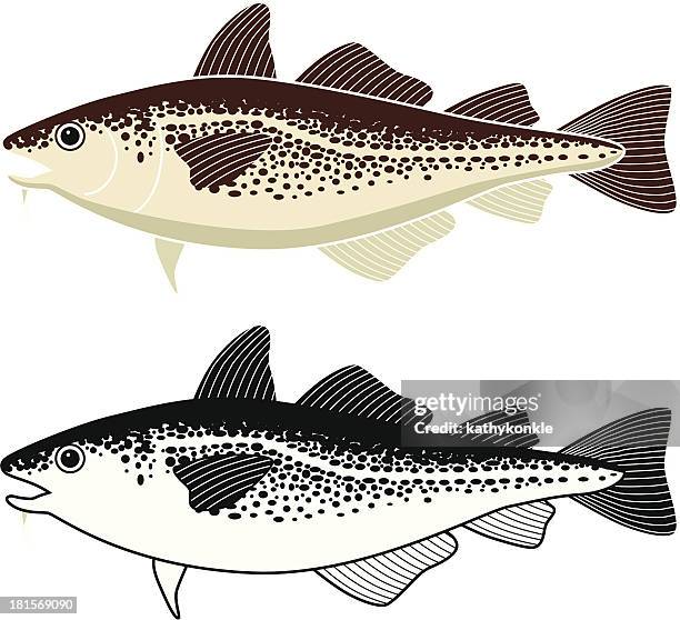 Free Vector Cod Fish Cod Fish Vector Photos and Premium High Res Pictures - Getty Images
