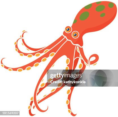 Octopus Octopus