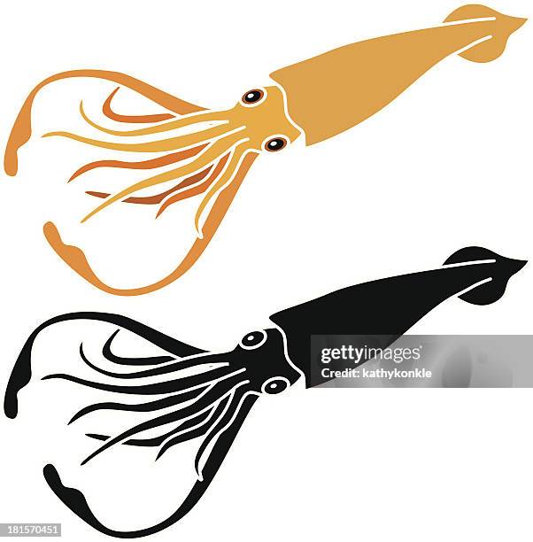 477点のイカイラスト素材 Getty Images 477点のイカイラスト素材 Getty Images