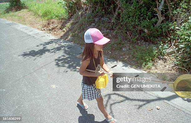 the girl who looks for an insect - butterfly net stock pictures, royalty-free photos & images