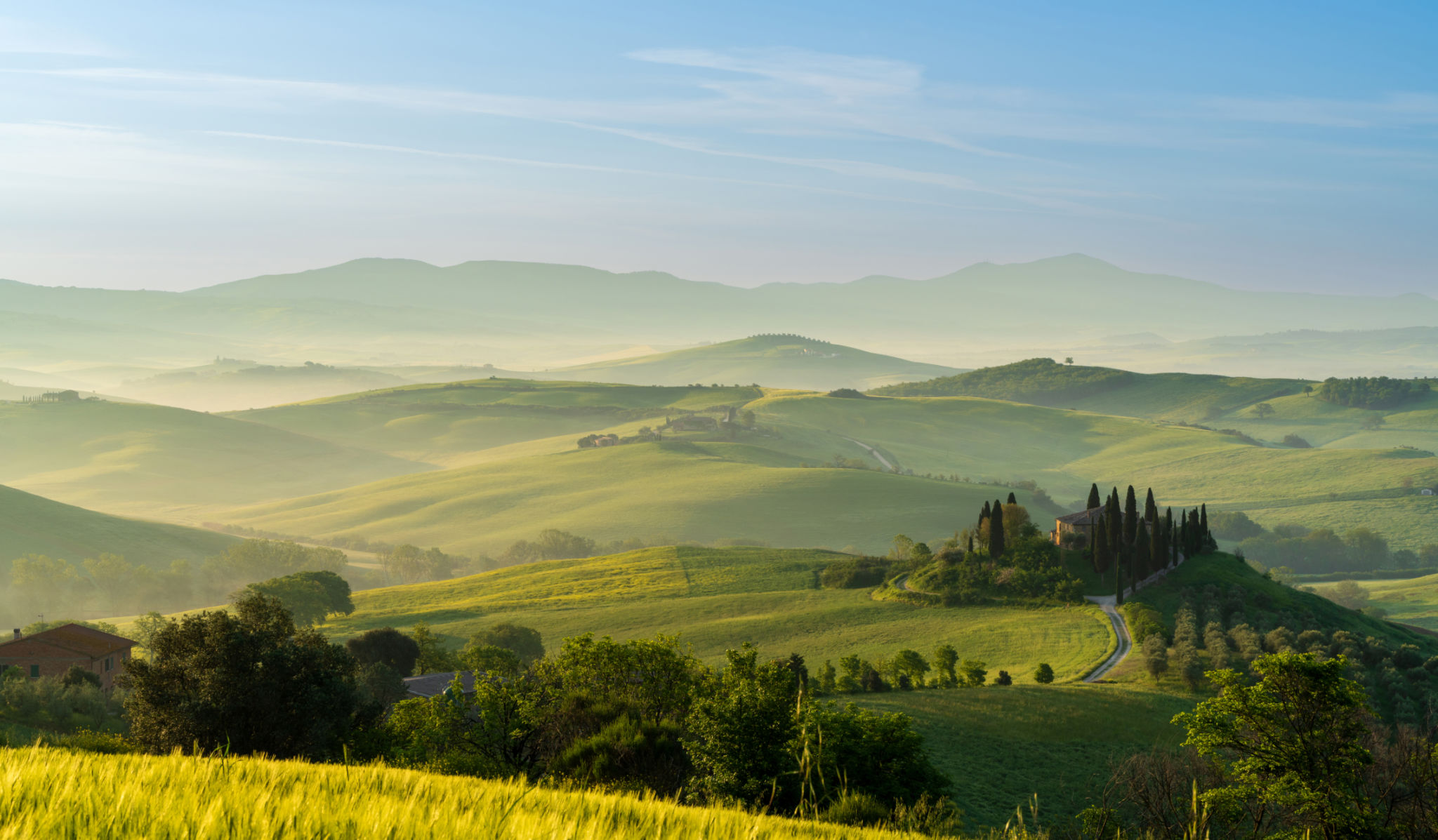 italian vineyards