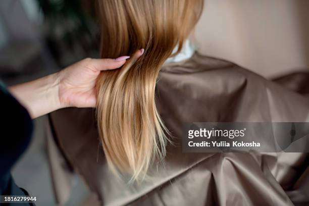 woman having haircut in salon - straight hair foto e immagini stock