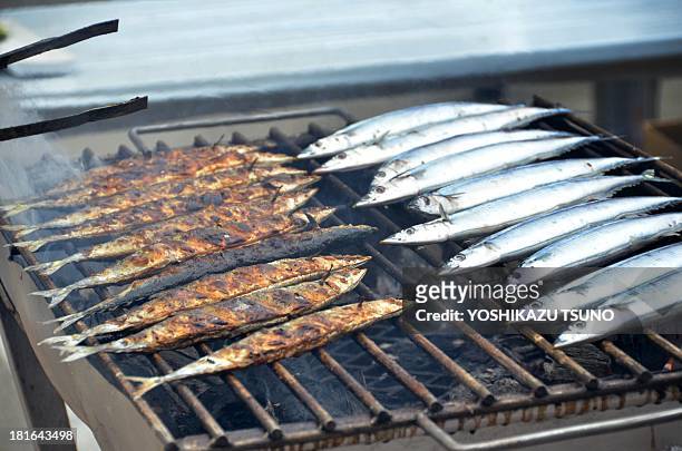 Fishermen from Ofunato in Iwate prefecture in northern Japan grill Pacific saury over a charcoal fire at the parking lot of Tokyo Tower at an annual...