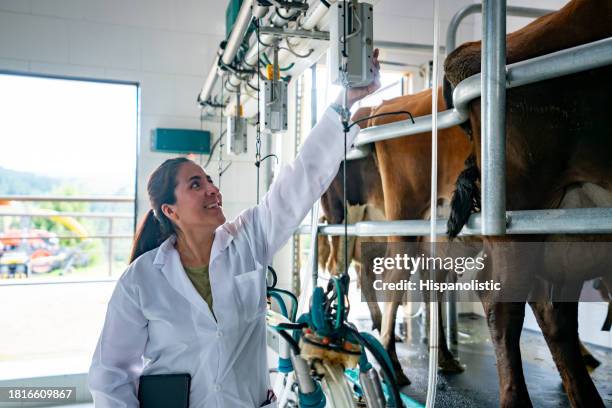 veterinary supervising the milking process at a dairy farm - milking machine stock pictures, royalty-free photos & images