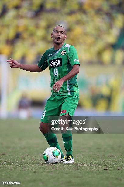 Naohiro Takahara of Tokyo Verdy reacts during the J.League second division match between Tokyo Verdy and JEF United Chiba at Komazawa Stadium on...