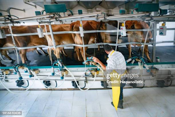 酪農場で牛の乳搾りをする酪農家 - milking machine ストックフォトと画像