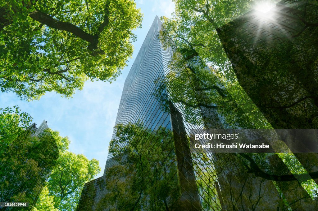 Overlay blends cityscape with greenery