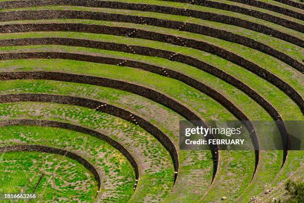 moray terraced field. - latin american civilizations - fotografias e filmes do acervo